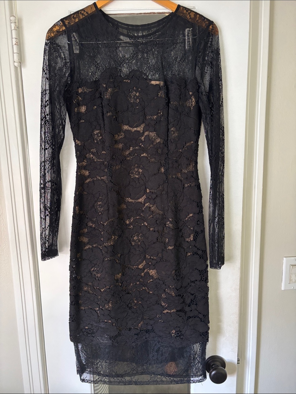 Bailey 44 Black Lace Long-Sleeve Sheath Dress with Nude Lining